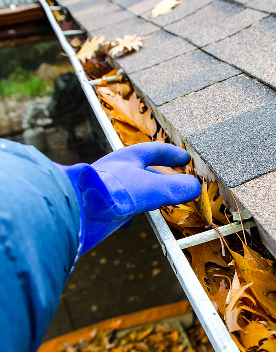 Reliable Gutter Cleaner Services Freeport' IL